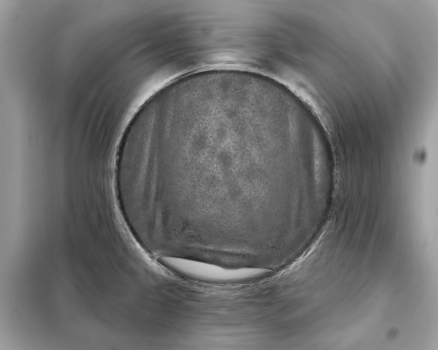 X0000098171333200805080952