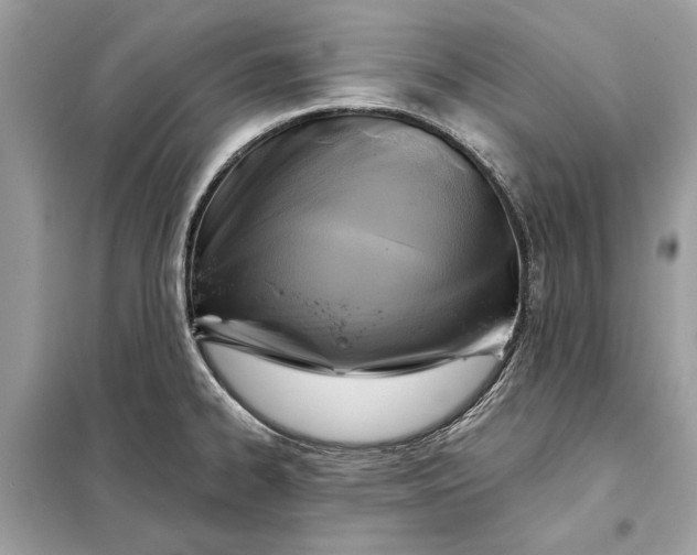 X0000098171334200805080952