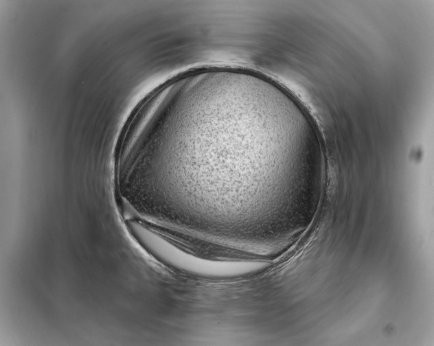 X0000098171335200805080952