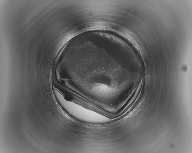 X0000098171337200805080952