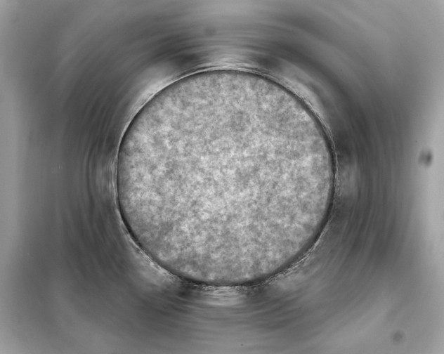 X0000098171338200805080952