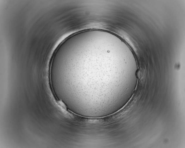 X0000098171339200805080952