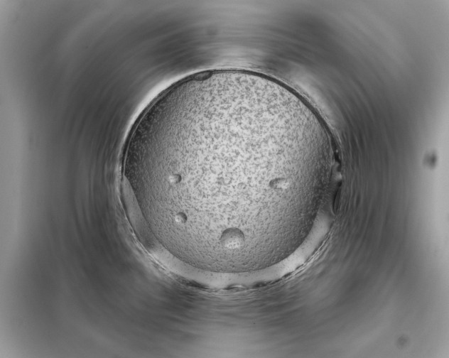 X0000098171340200805080952