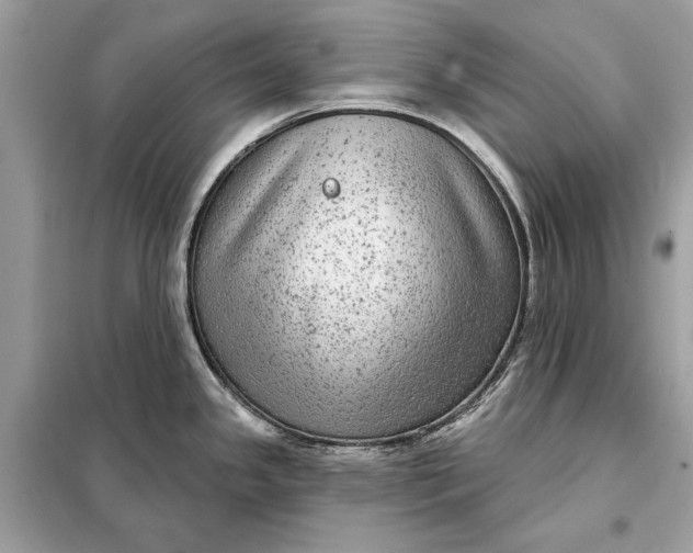 X0000098171341200805080952