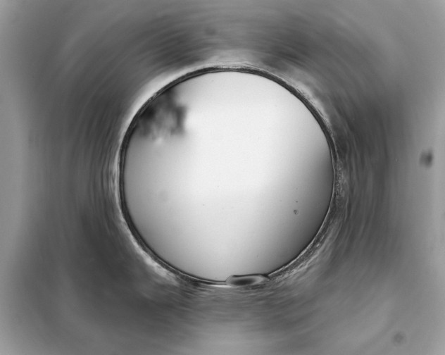 X0000098171343200805080952