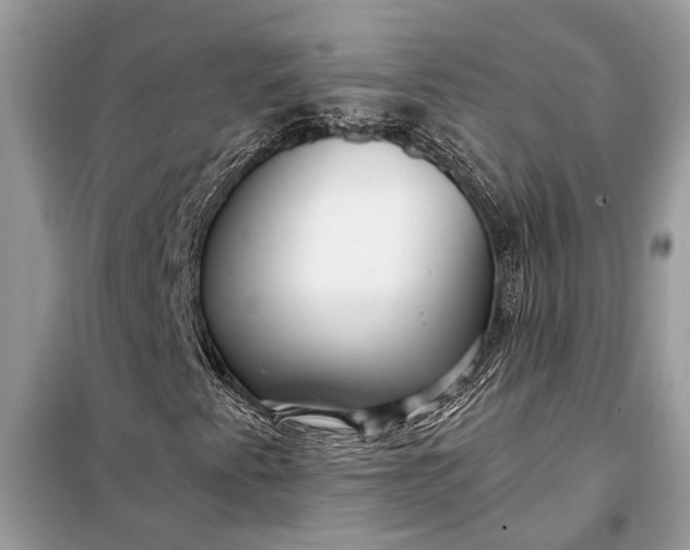 X0000098171345200805080951