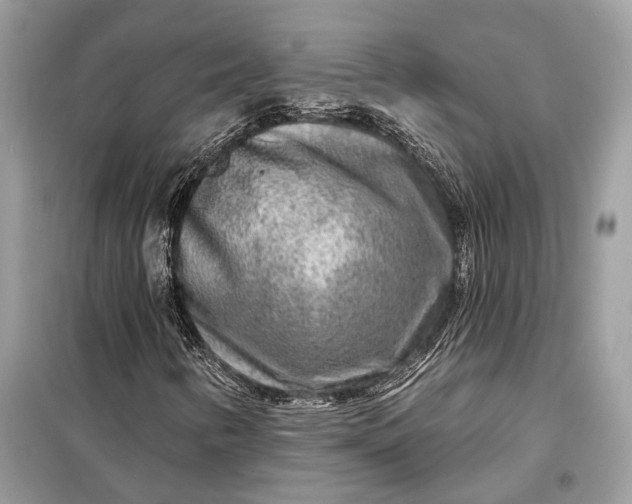 X0000098171346200805080951