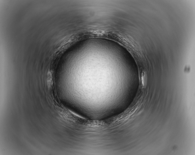 X0000098171347200805080951