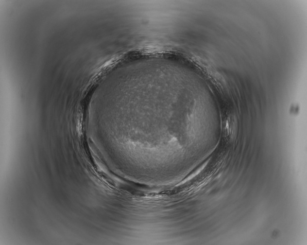 X0000098171348200805080951