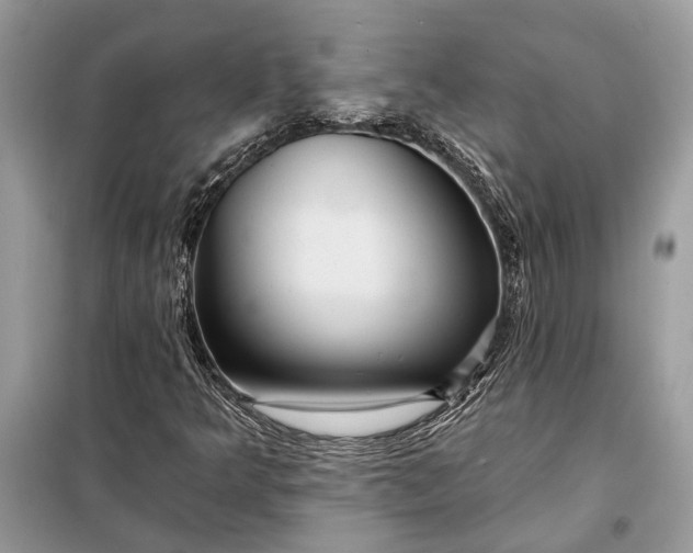 X0000098171349200805080951