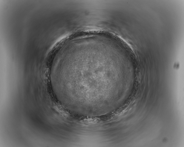 X0000098171351200805080951