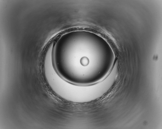 X0000098171352200805080951