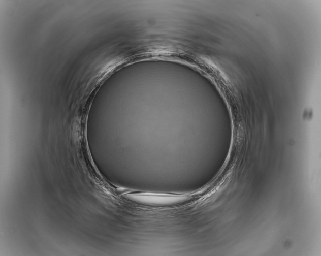 X0000098171353200805080951