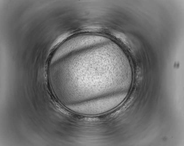 X0000098171354200805080951