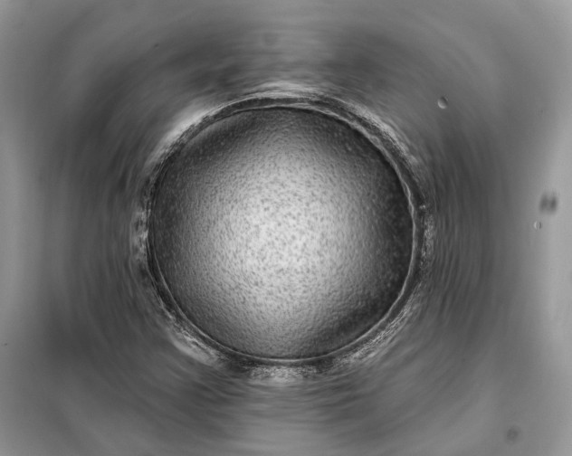 X0000098171355200805080951