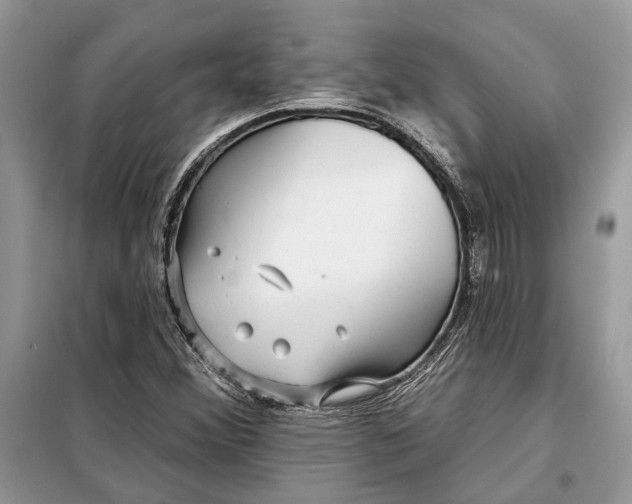 X0000098171356200805080951