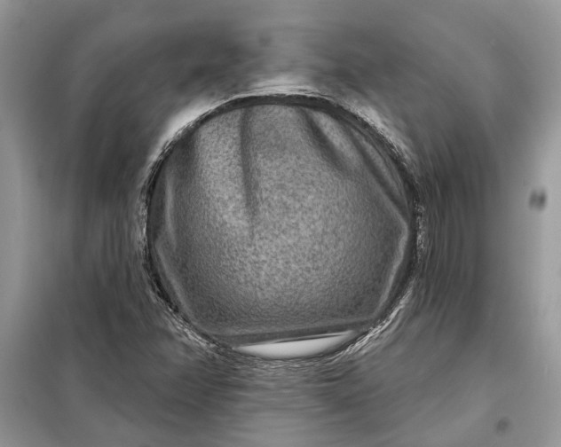 X0000098171358200805080951