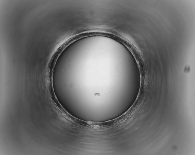 X0000098171360200805080951