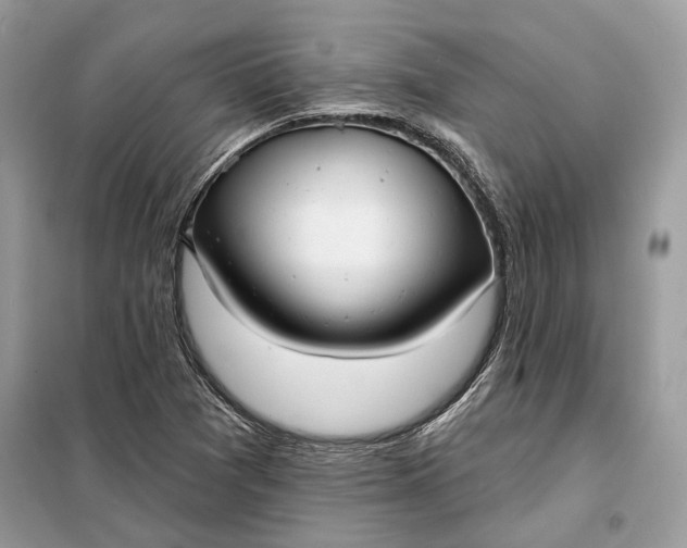 X0000098171361200805080951