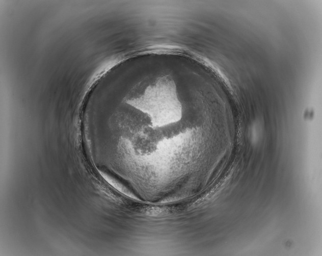 X0000098171362200805080951