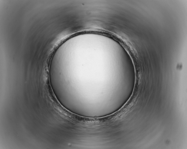 X0000098171363200805080951