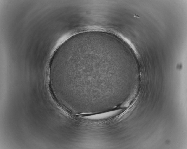 X0000098171365200805080951