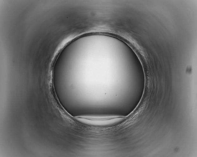 X0000098171366200805080951