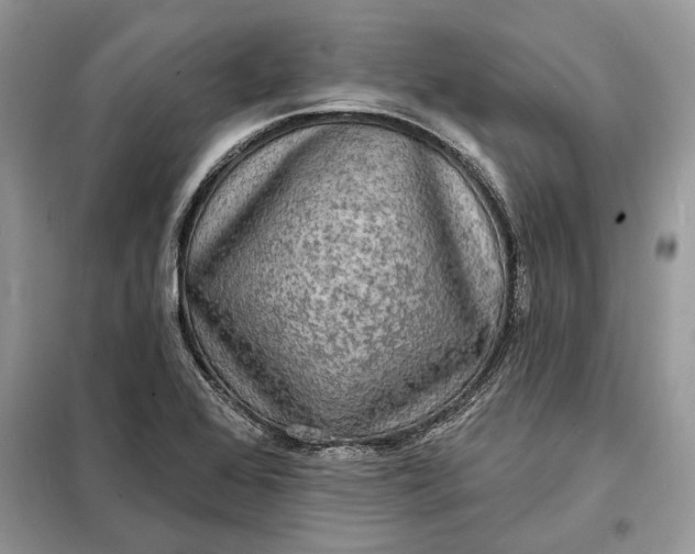 X0000098171368200805080951