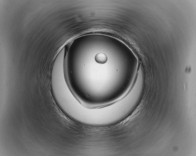 X0000098171369200805080951