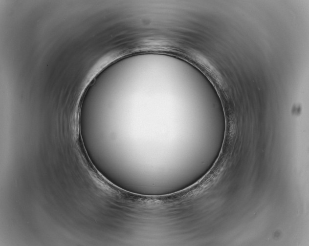 X0000098171370200805080951