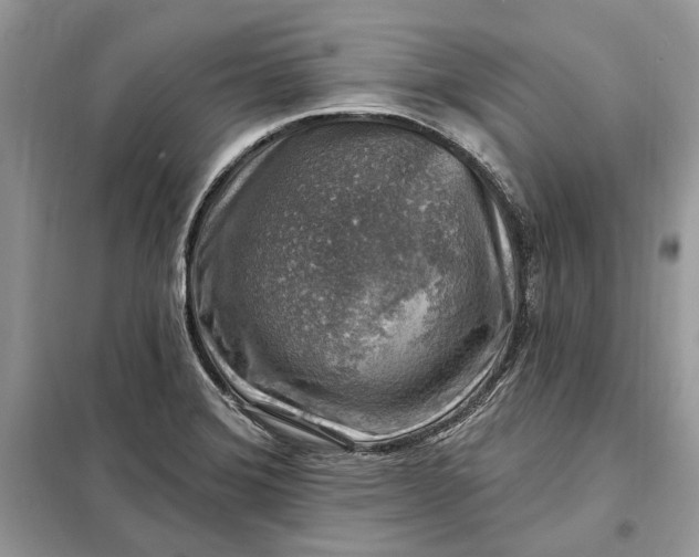 X0000098171372200805080951