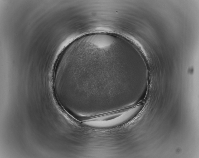 X0000098171373200805080951