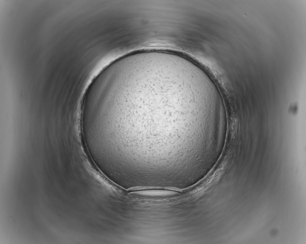 X0000098171374200805080951