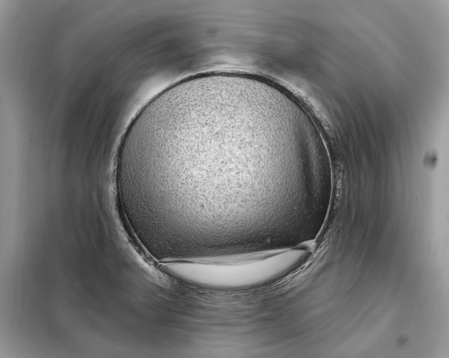 X0000098171375200805080951