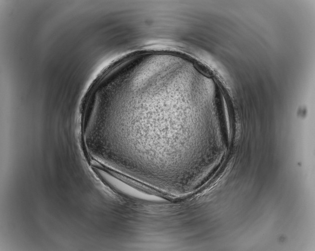 X0000098171376200805080951