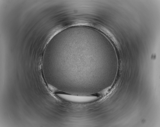 X0000098171377200805080951