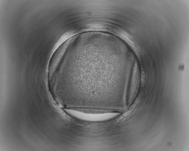 X0000098171378200805080951