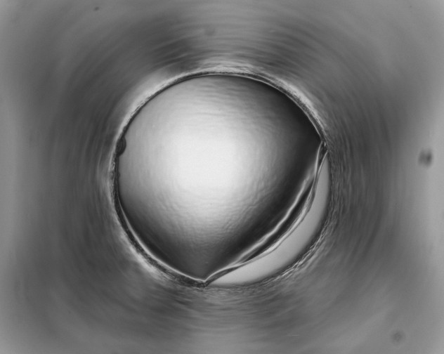 X0000098171379200805080951