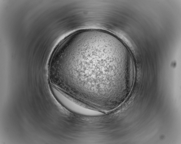 X0000098171380200805080951