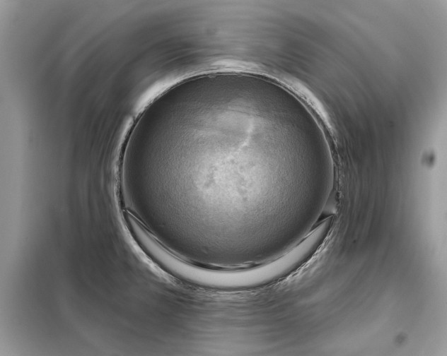 X0000098171381200805080951