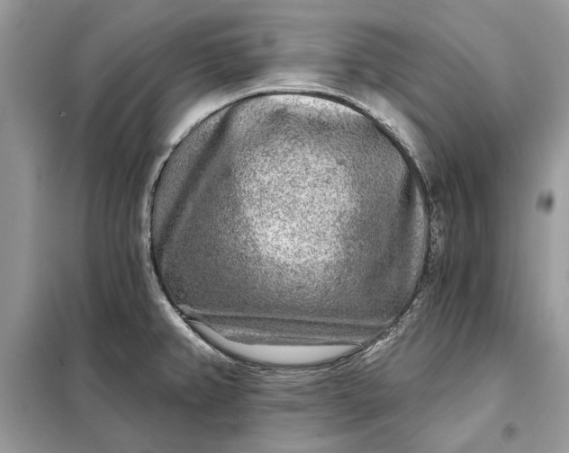 X0000098171382200805080951