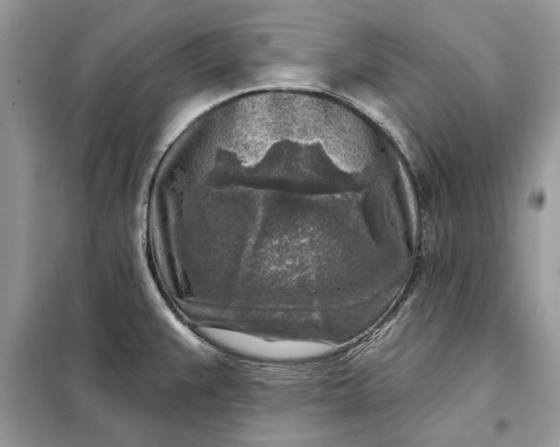 X0000098171383200805080951