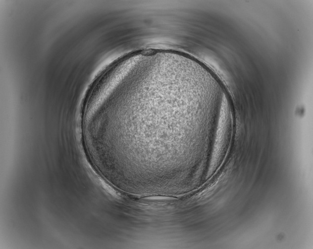 X0000098171384200805080951