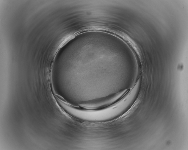 X0000098171385200805080951