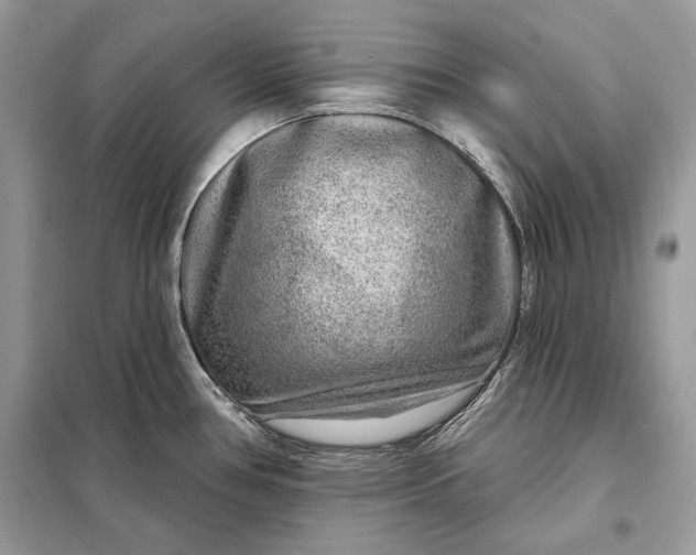 X0000098171386200805080951