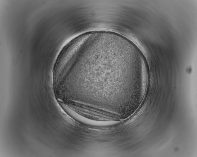 X0000098171388200805080951