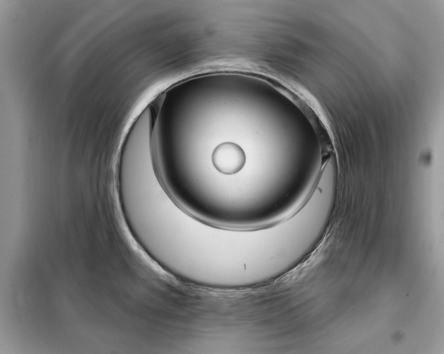 X0000098171389200805080951