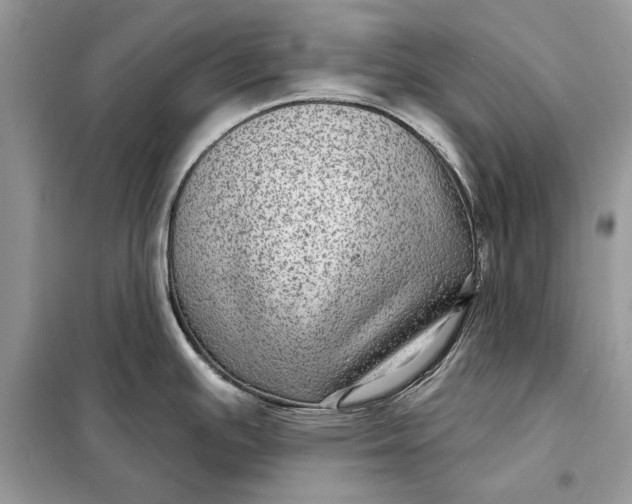 X0000098171391200805080951