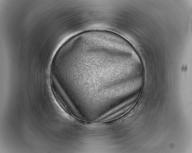 X0000098171392200805080950