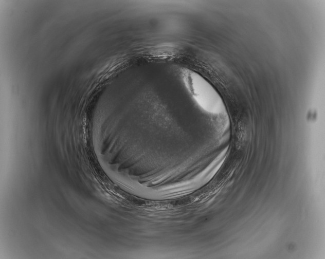 X0000098171394200805080950